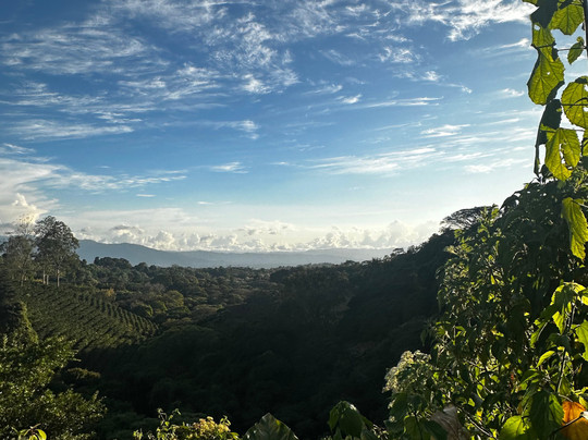 WAKING DREAMS COSTA RICA-圣何塞必去景点