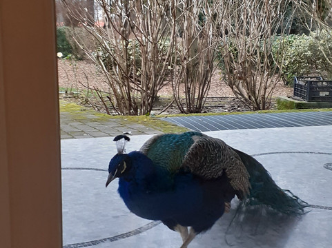 少年公园酒店主图