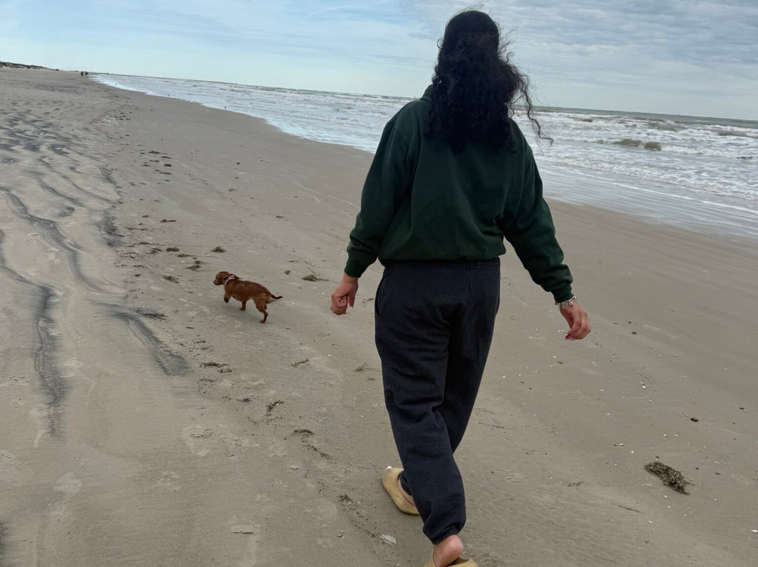 North Padre Island-科珀斯克里斯蒂市必去景点