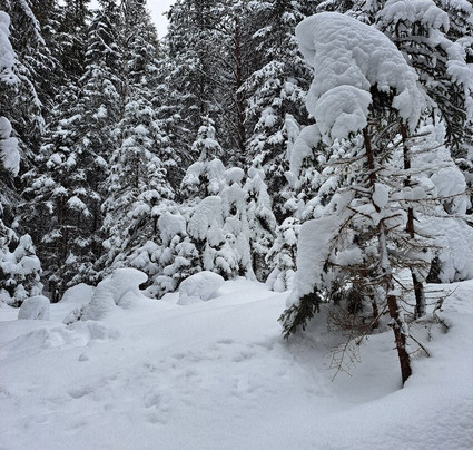 Bergwanderführer Tirol-洛伊塔戌必去景点