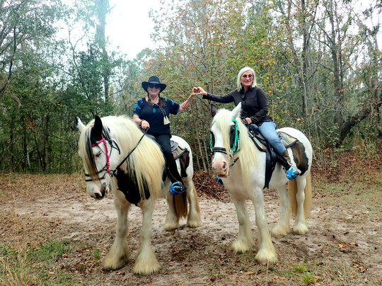 C Ponies Beach Horseback Rides-布雷登顿必去景点