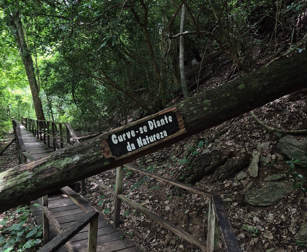 Parque das Cachoeiras-博尼图必去景点