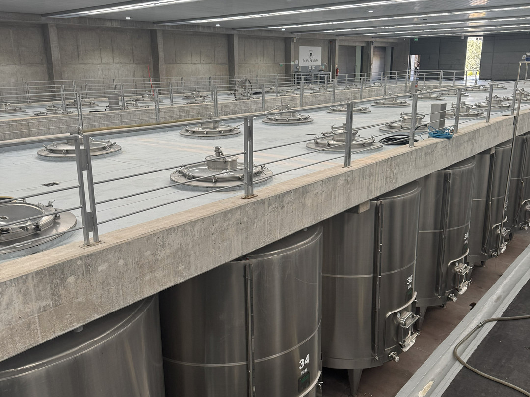 Bodega DiamAndes-门多萨必去景点