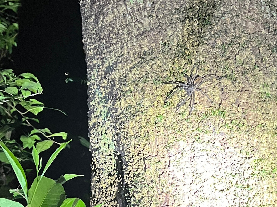 Finca Lantana Monteverde-彭塔雷纳斯必去景点