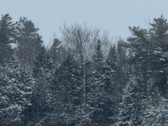 Piragis Northwoods Company-伊利必去景点