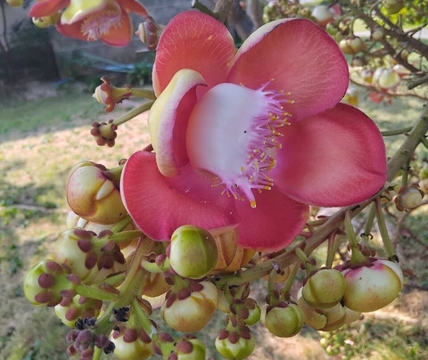 塔拉温泉度假村主图