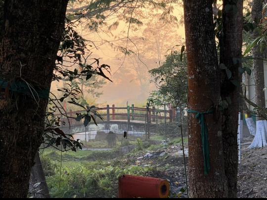 The Riverwood Forest Retreat Dooars主图