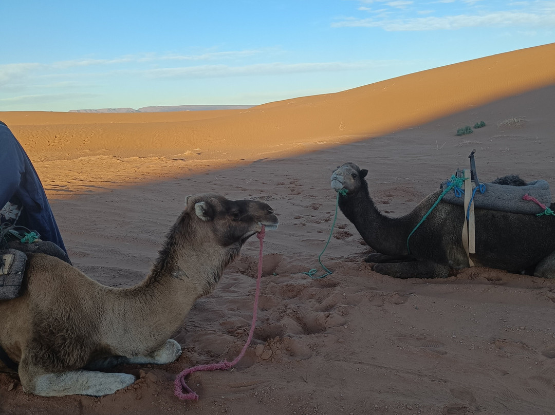 Voyage Desert Mhamid-迈哈米德必去景点