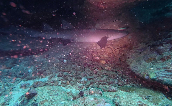 Hydro Sports-辛加东卡必去景点