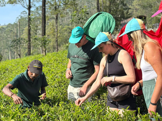 Come Visit Sri Lanka-康提必去景点