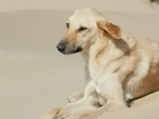 Festival Gnaoua-索维拉必去景点