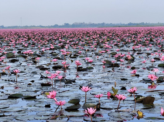 红莲湖-Chiang Haeo必去景点