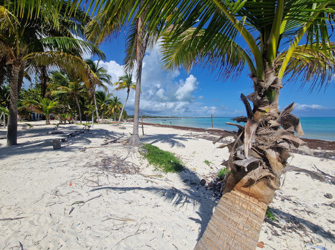 Blue Caribe-艾库玛尔必去景点