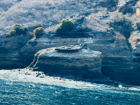 Turtle Island-维里亚米尔港必去景点
