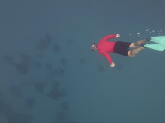 Go Local Cook Islands-堤堤卡维加必去景点