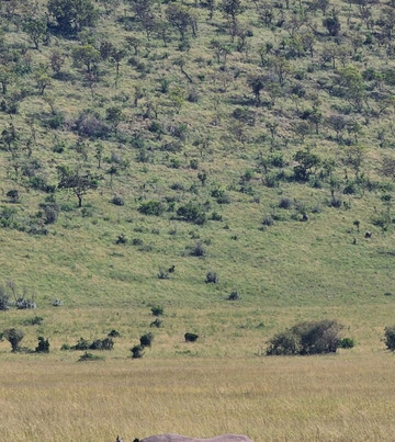 Sunnycreek Safaris-内罗毕必去景点