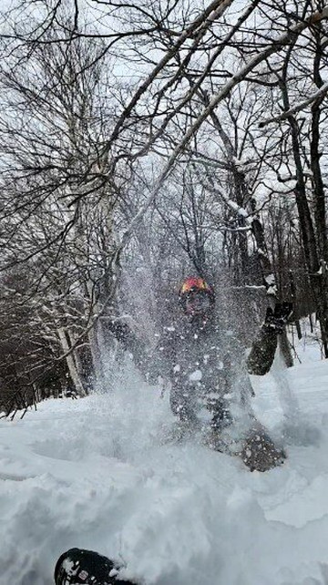 Bluebird Cady Hill Lodge主图