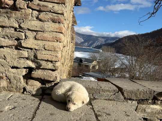 Travel Mania-第比利斯必去景点