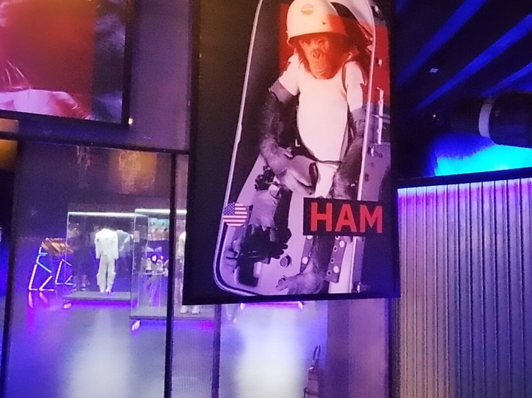 Space Adventure Canela-卡内拉必去景点