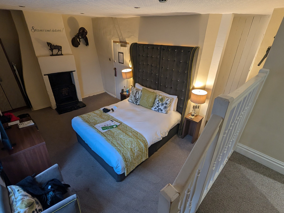 金羊毛酒店主图