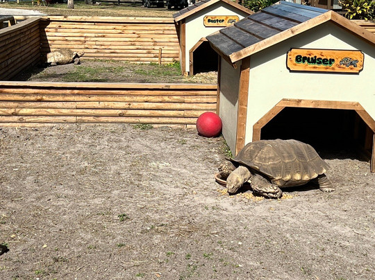 Tom and Jerry's Airboat Tours-Lake Panasoffkee必去景点