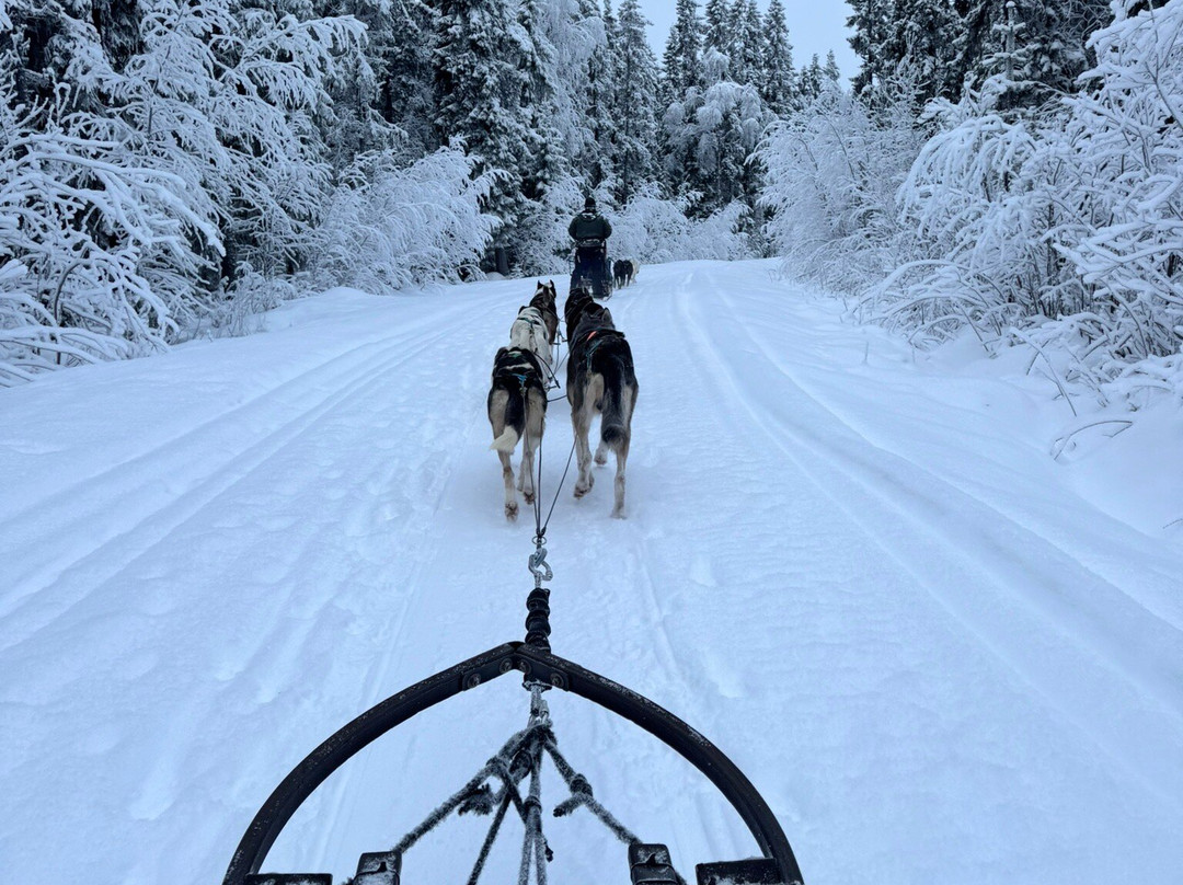 Discover Nordic Adventures-Jamton必去景点