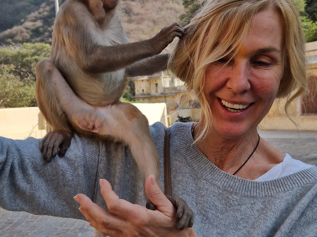 India Tour Specialist-新德里必去景点