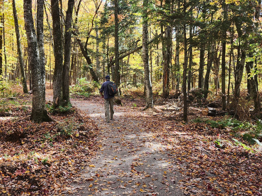 Centre de plein air Dansereau