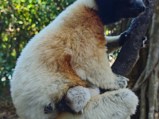 Mora Mora Escursioni