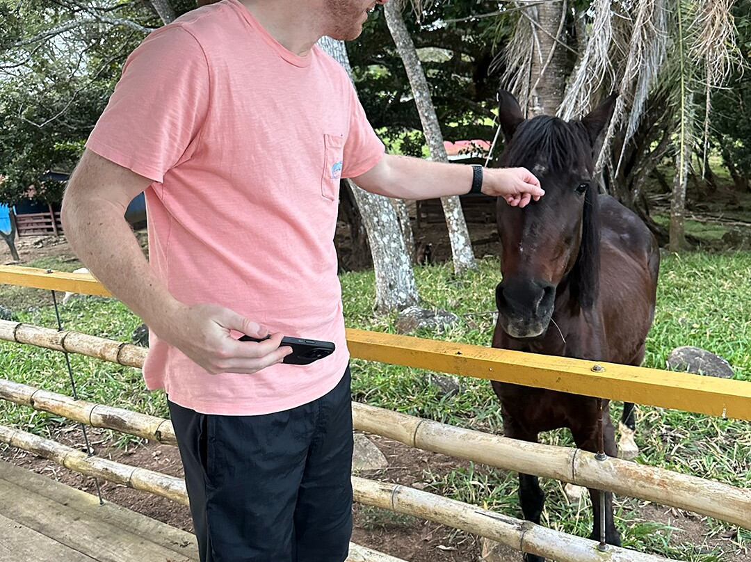 Guayabo Animal Rescue-Guayabo必去景点