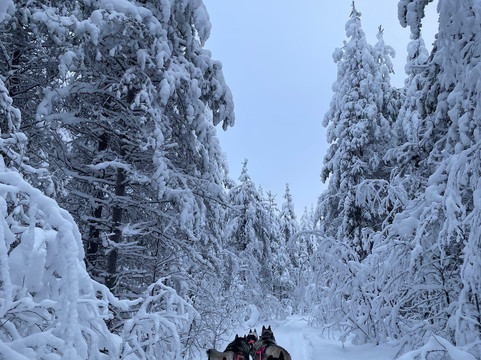 Oulanka Aventure Arctic-Salla必去景点