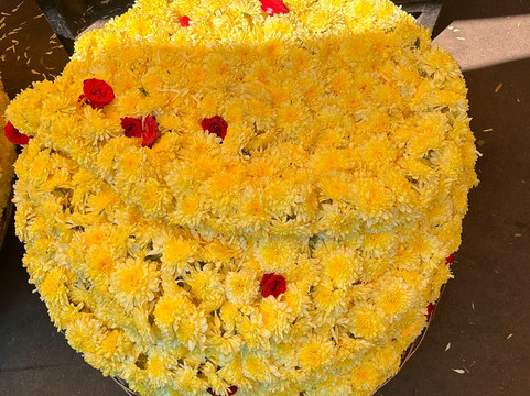 Passoin India Tours-新德里必去景点