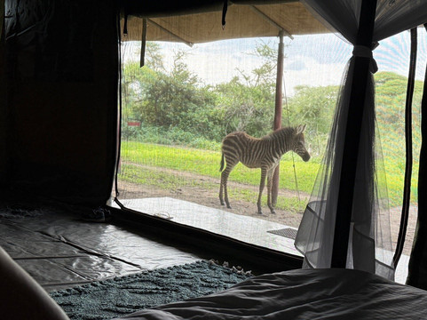 East Safari Tours-阿鲁沙必去景点