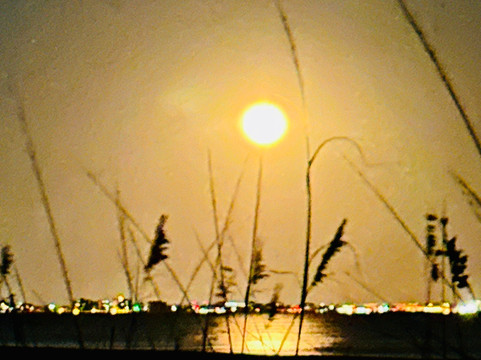 Sanibel Moorings主图