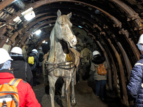 Mine Témoin d'Alès en Cévennes-Ales必去景点
