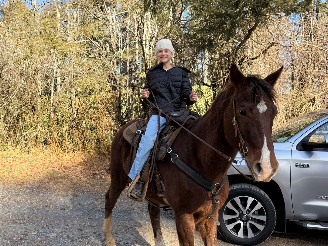 Blowing Rock Trail Rides-布洛英罗克必去景点