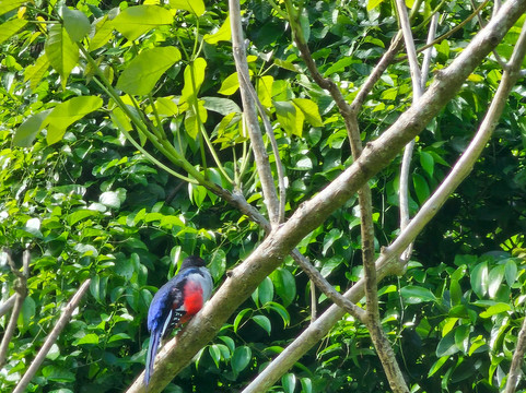 Authentic Tour Delivery-维纳勒斯必去景点