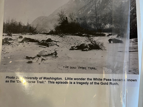 MacBride Museum-白马市必去景点