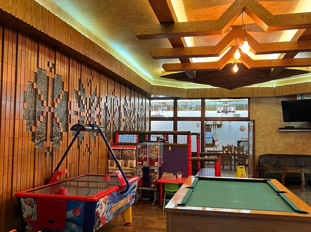 蓝艾迪霍酒店主图