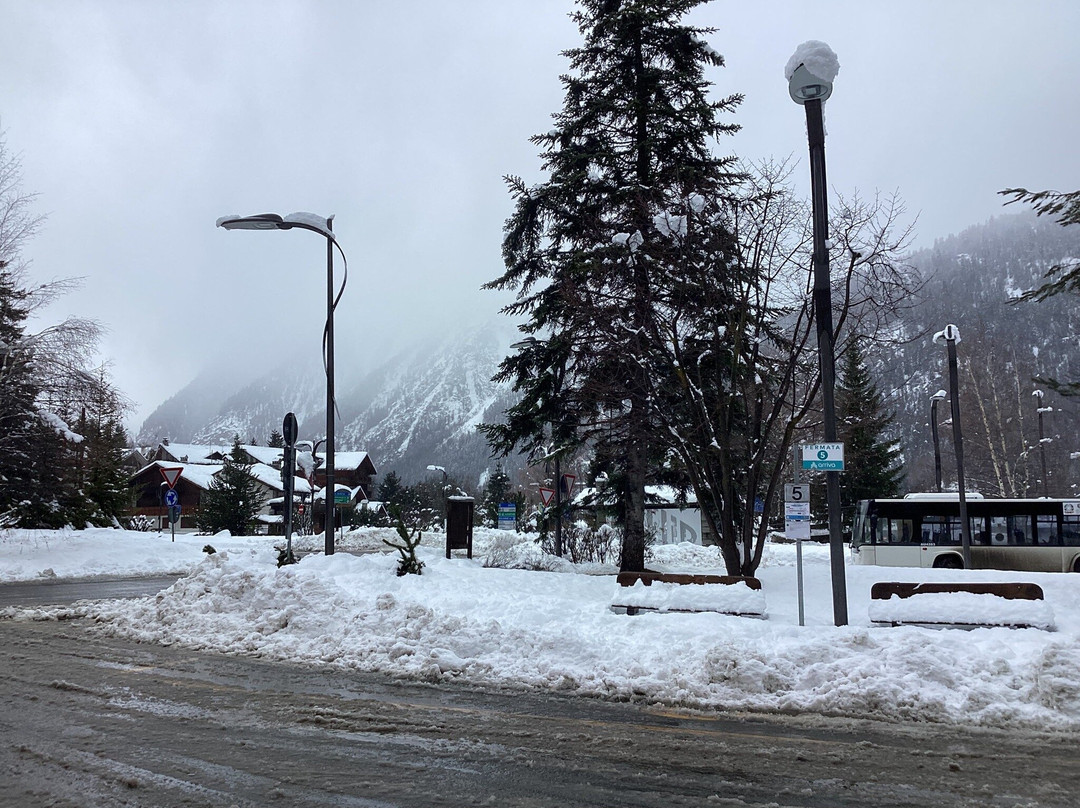 Ufficio del Turismo-库马约尔必去景点