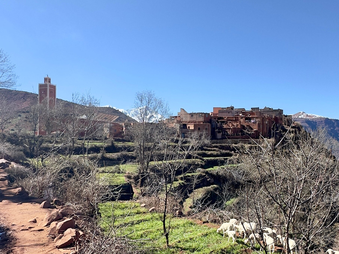 Berber Travel Experience-马拉喀什必去景点