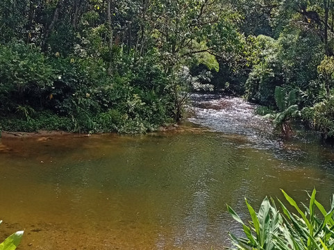 Vale das Hortensias Hotel主图