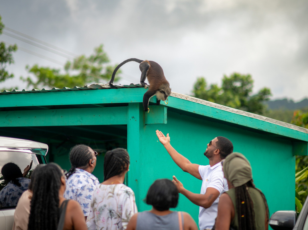 Greenada Tours and Taxi Services-St. George's必去景点