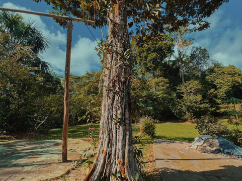 Amazon Maguta Jungle Lodge-莱蒂西亚必去景点