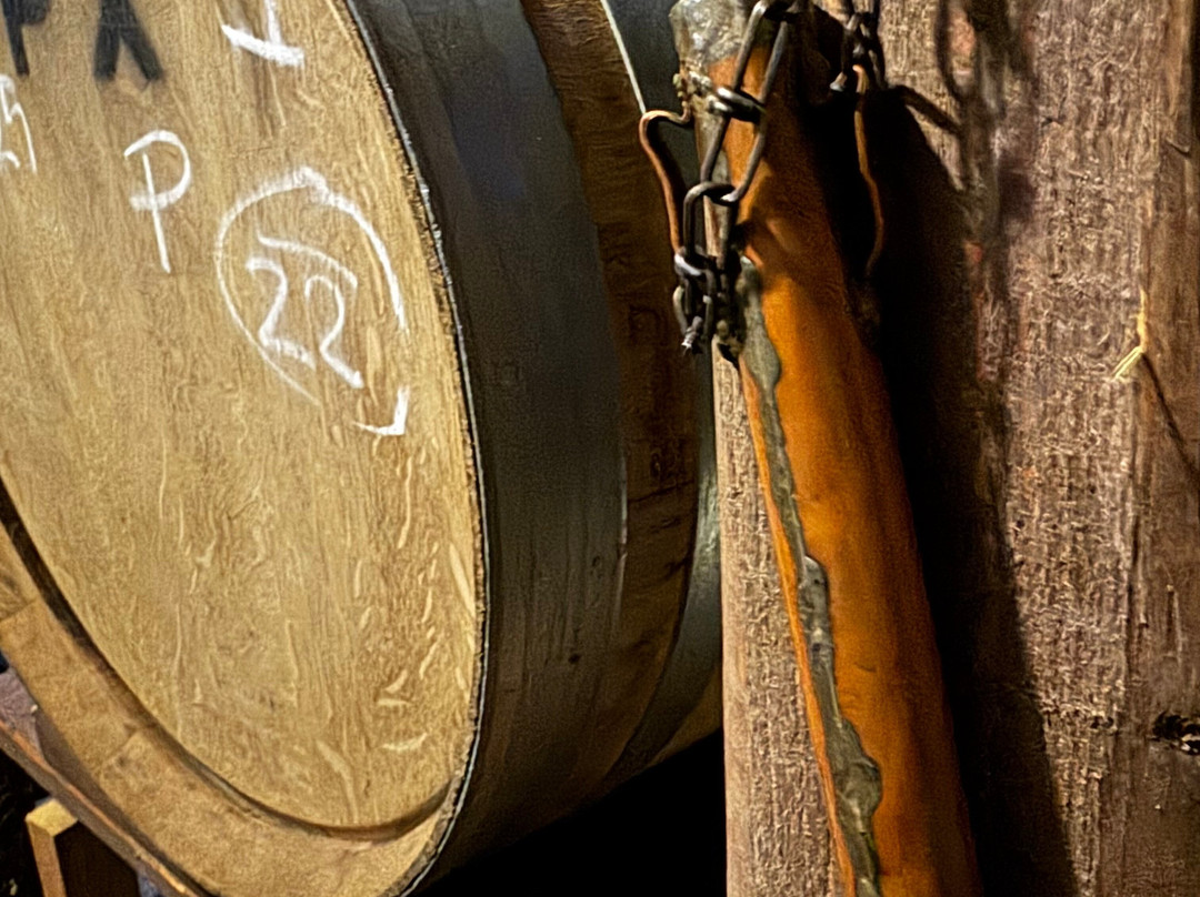 Wellness Hotel Svachovka主图