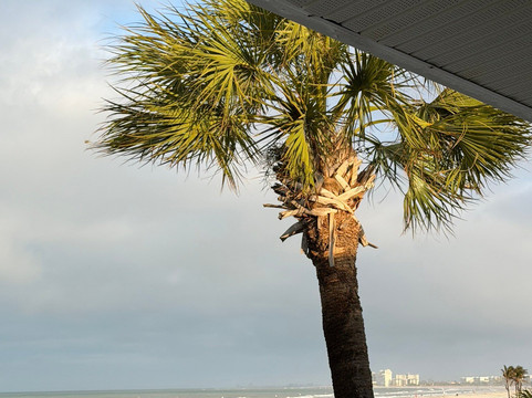 St. Pete Beach-圣彼得海滩必去景点