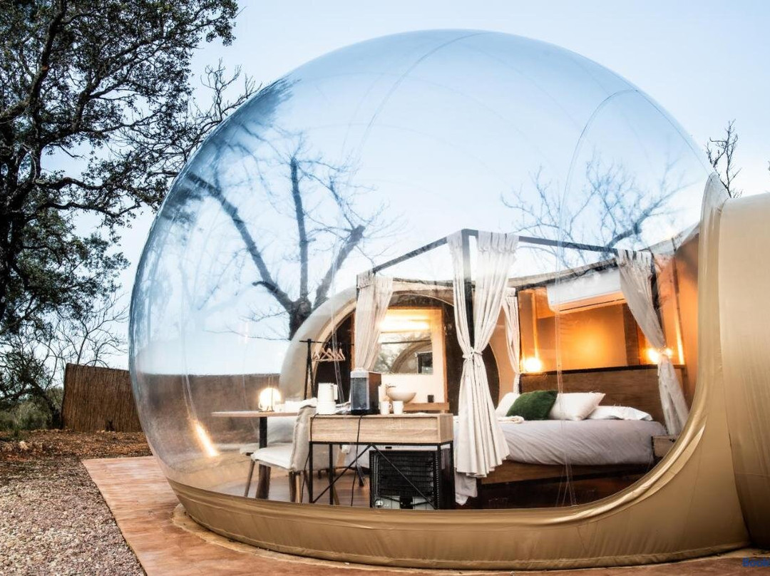 Horizonte Bubble Rooms