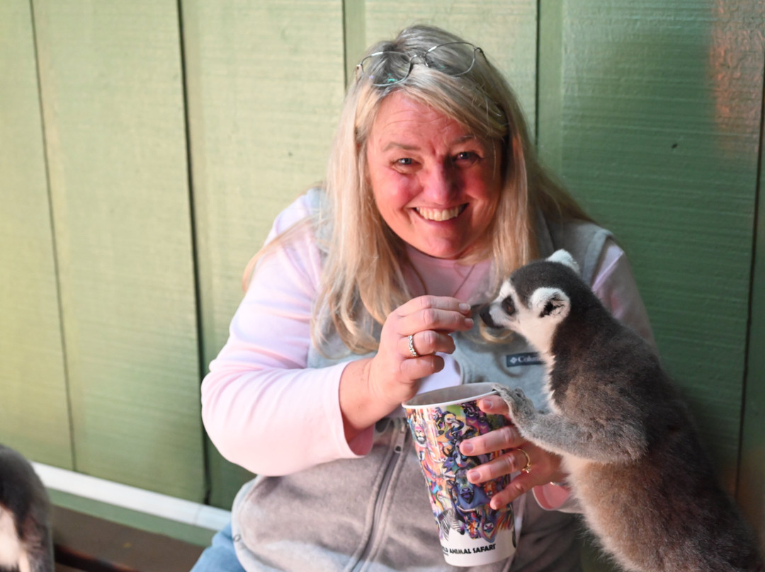 Wild Animal Safari-Strafford必去景点