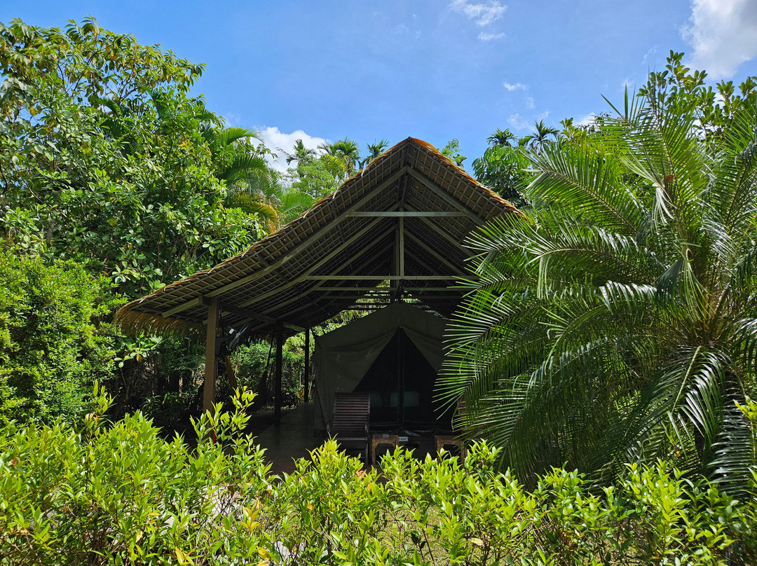 Elephant Hills主图