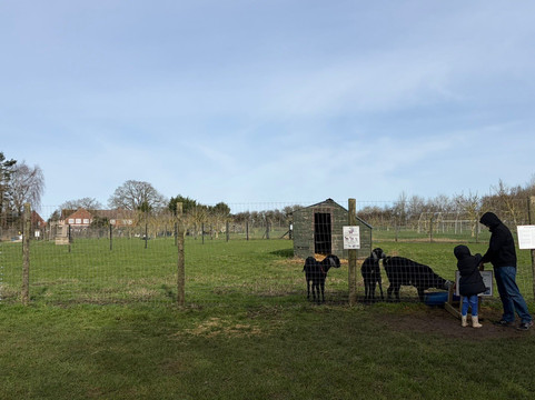 Church Farm Ardeley-斯蒂夫尼奇必去景点